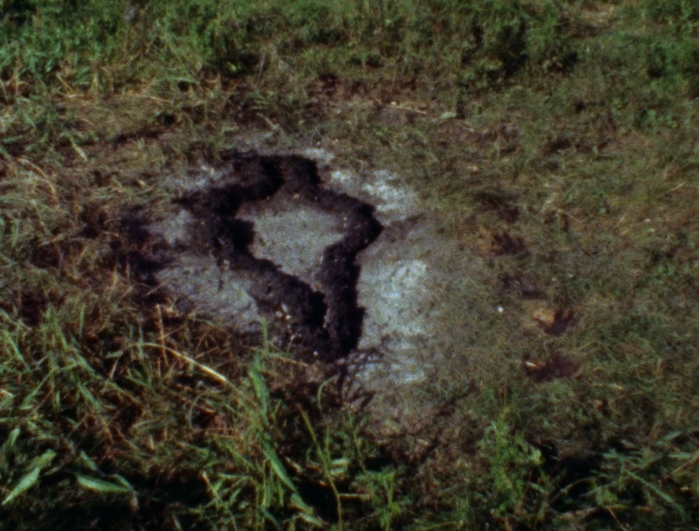 Ana Mendieta  Untitled: Silueta Series, 1978  Super-8mm film transferred to high-definition digital media, color, silent  Running time: 3:14 minutes  © The Estate of Ana Mendieta Collection, LLC. Courtesy Galerie Lelong & Co. / Licensed by Artists Rights Society (ARS), New York.