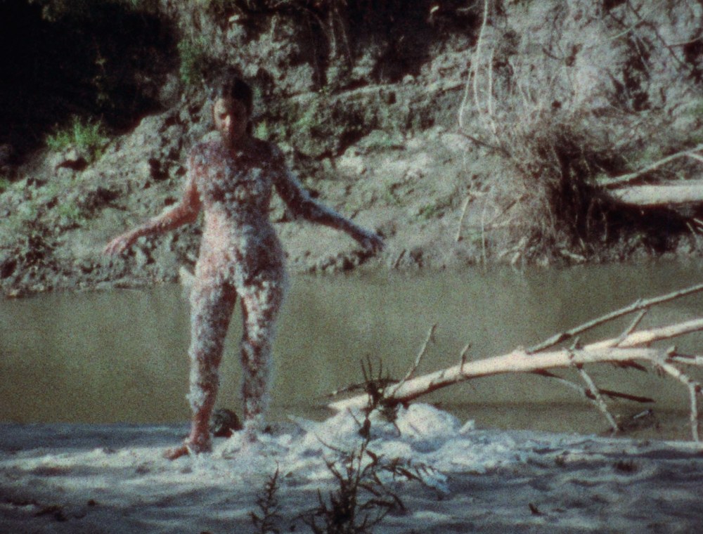 Ana Mendieta  Blood + Feathers, 1974  Hirshhorn Museum and Sculpture Garden, Smithsonian Institution, Washington, DC, Gift of the Estate of Ana Mendieta Collection and an Anonymous Donor, 2005  Courtesy the Estate of Ana Mendieta Collection LLC and Galerie Lelong & Co., New York