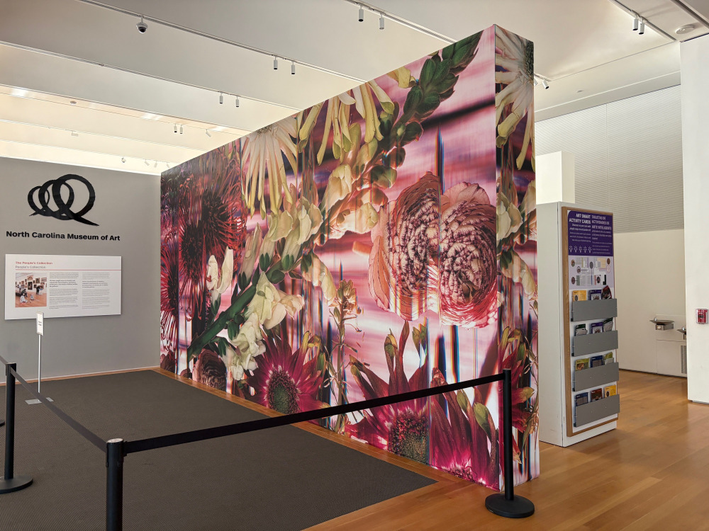 Colby Caldwell installation&quot; garlands (115) unfurled&quot; on view in the West Building at North Carolina Museum of Art