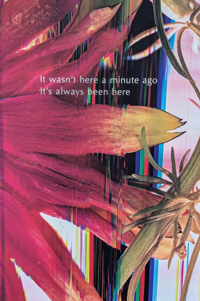 Colby Caldwell | garlands (115) unfurled