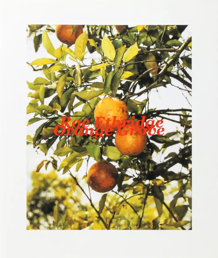 Roe Ethridge: Orange Grove - Andrew Kreps Gallery - Publications - Andrew Kreps Gallery