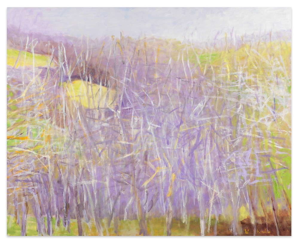 Wolf Kahn, Across the Valley, 2005, Oil on canvas, 42 x 52 inches.