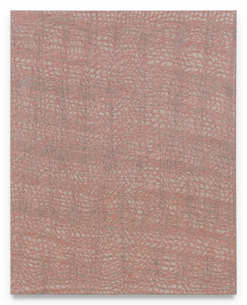 James Siena, Cephaelin, 2025, Acrylic on linen, 70 x 56 inches.