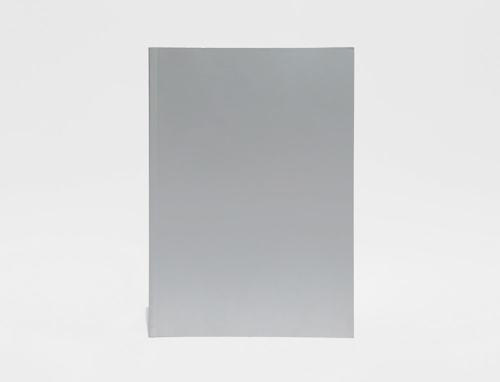 Felix Gonzalez-Torres: The Everyday Art of Felix Gonzalez-Torres - Selected Monographs and Solo Catalogues - Felix Gonzalez-Torres Foundation