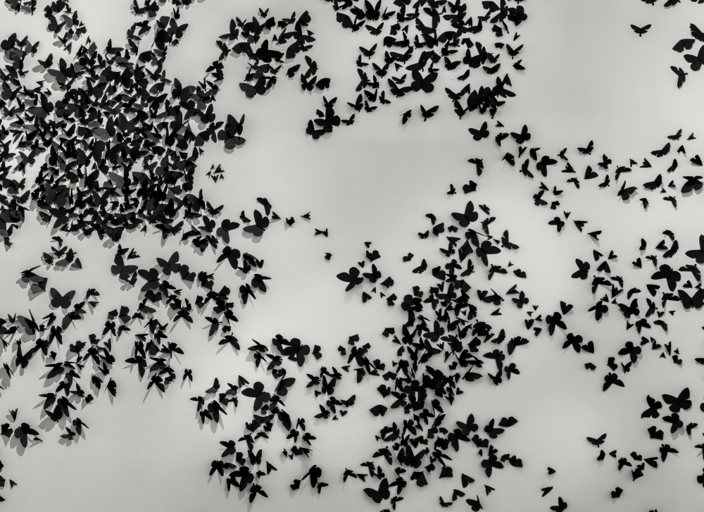 exhibition | carlos amorales: rapsodias