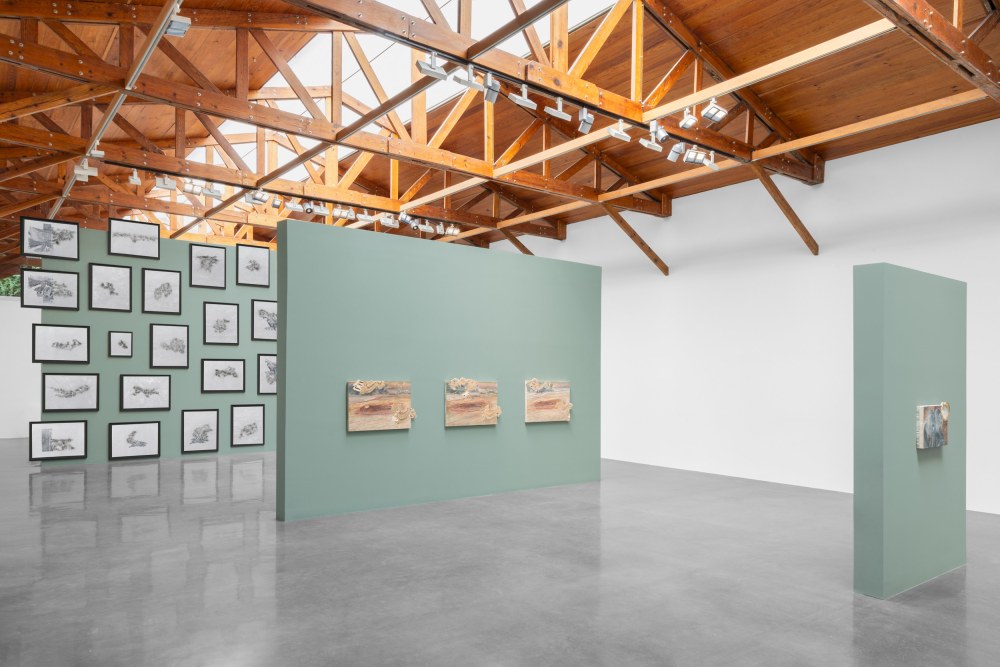 Installation view of Anri Sala, kurimanzutto, Mexico City, 2025