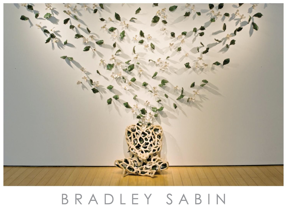 Bradley Sabin - Publications - Callan Contemporary