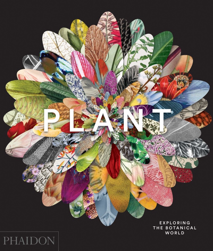 Plant: Exploring the Botanical World - Publications - E.V. Day