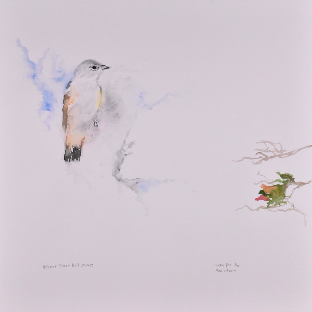 Bird Songs (ziŋtkála olówaŋ pi) - Arthur Short Bull - Viewing Room - Indian Arts and Crafts Board Online Exhibits Viewing Room