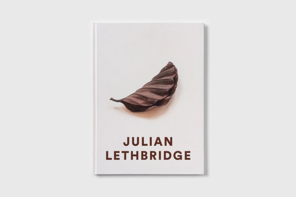 Julian Lethbridge - Camila McHugh, Robert Storr - Publications - Paula Cooper Gallery
