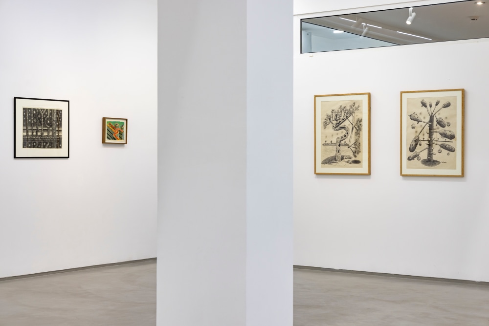 The Outlier - Exhibitions - Galerie Mirchandani + Steinruecke