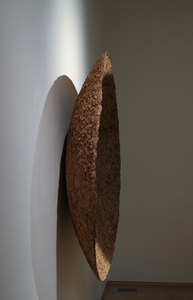 Benitha Perciyal, Critical Collective, Amrita Gupta Singh, raw materials, coconut, resin, wood, frankincense, raw banana fibre, minimalism, minimalist abstraction, Arte Povera 