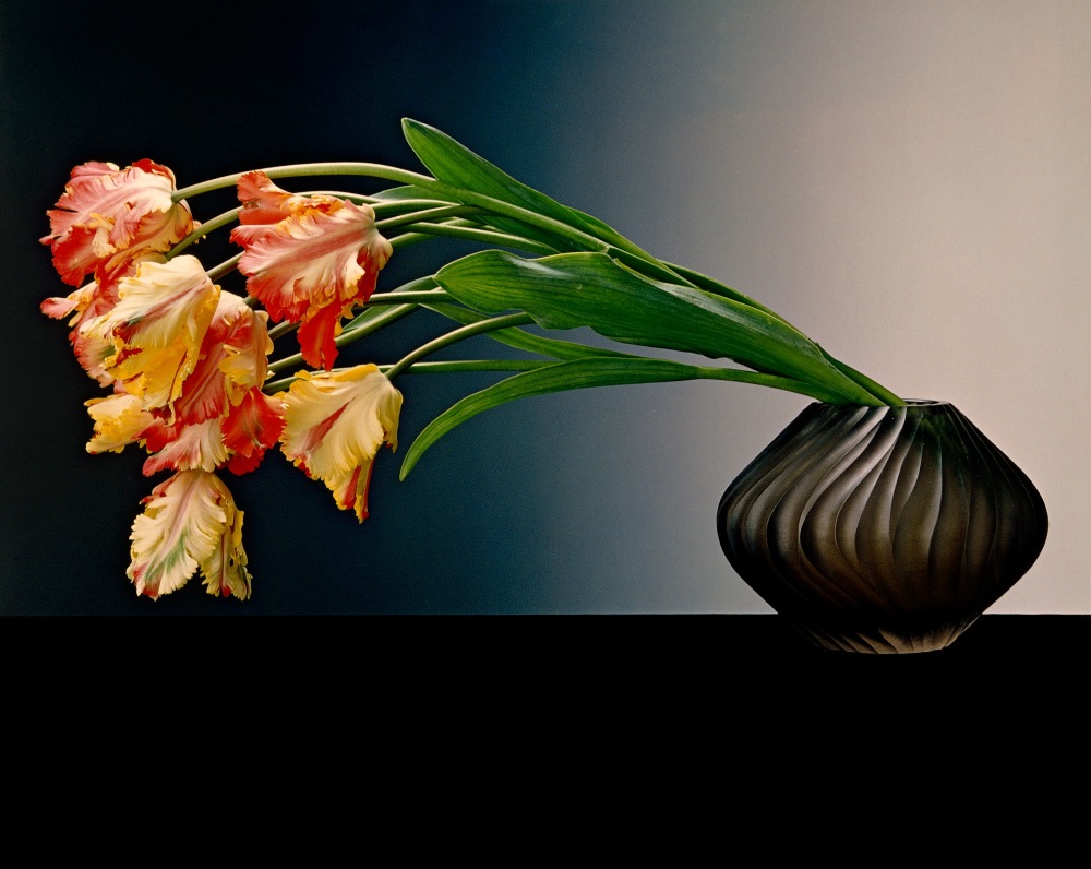 Yellow and red tulips in black vase