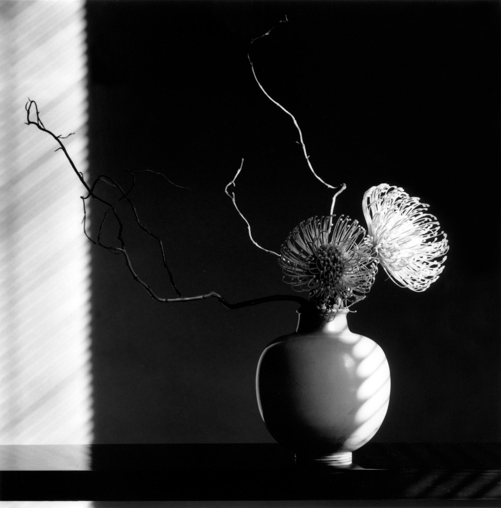 Minimal flower arrangement with shadowy background.