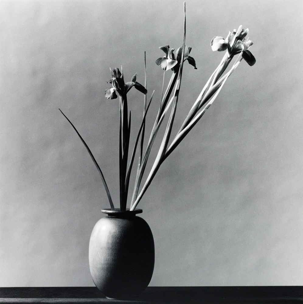 Foundation - Mapplethorpe Foundation