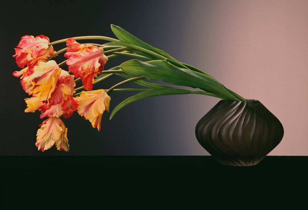 Yellow and red tulips in black vase