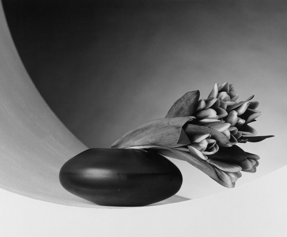 Biography - Mapplethorpe Foundation