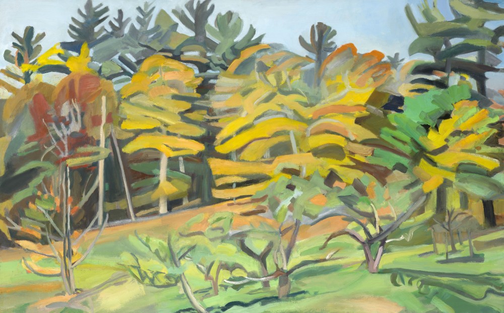 Martha Armstrong - New Paintings: Vermont, Mt. Gretna, Tucson - Exhibitions - Gross McCleaf Gallery