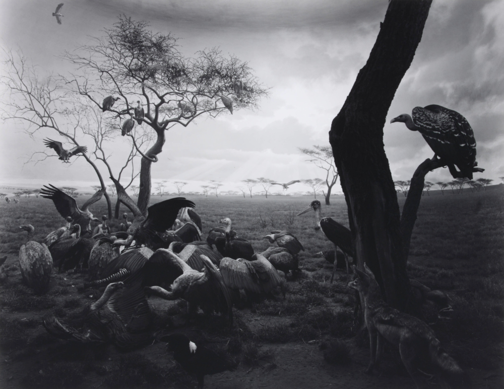 Hiroshi Sugimoto. Photography's New Vision: Experiments in Seeing (group show)