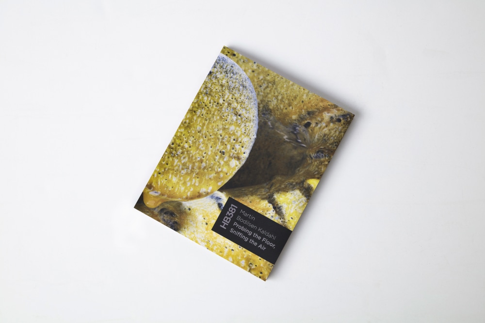 Martin Bodilsen Kaldahl: Probing the Floor, Sniffing the Air

&amp;nbsp;

Exhibition Catalogue
Softcover (embossed, matte finish)
40 pages
10 x 8&amp;quot;
April 2023

&amp;nbsp;

Essay by Glenn Adamson
Photography by Dorte Krogh, Joe Kramm, &amp;amp; Ole Akh&amp;oslash;j
Catalogue Design by LevievanderMeer, Amsterdam
Printing by robstolk&amp;reg;, Amsterdam&amp;nbsp;