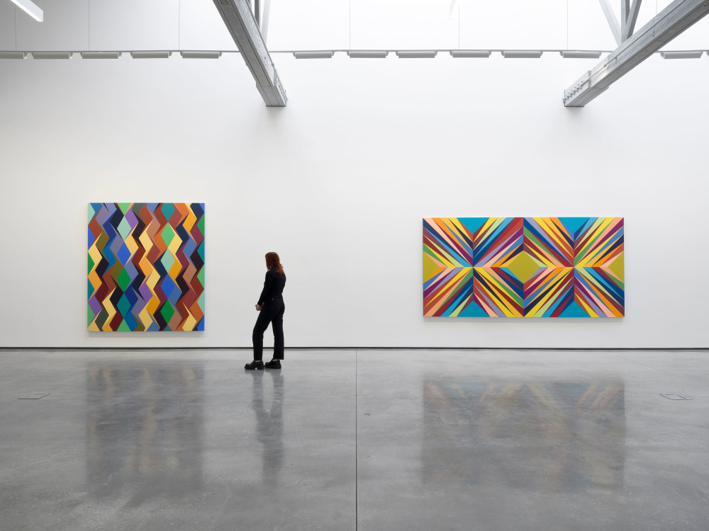 Odili Donald Odita