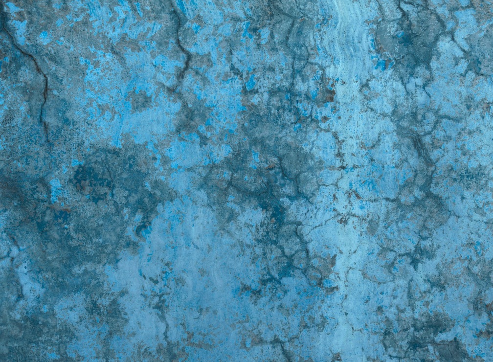 Nazgol Ansarinia: Dissolving Substances