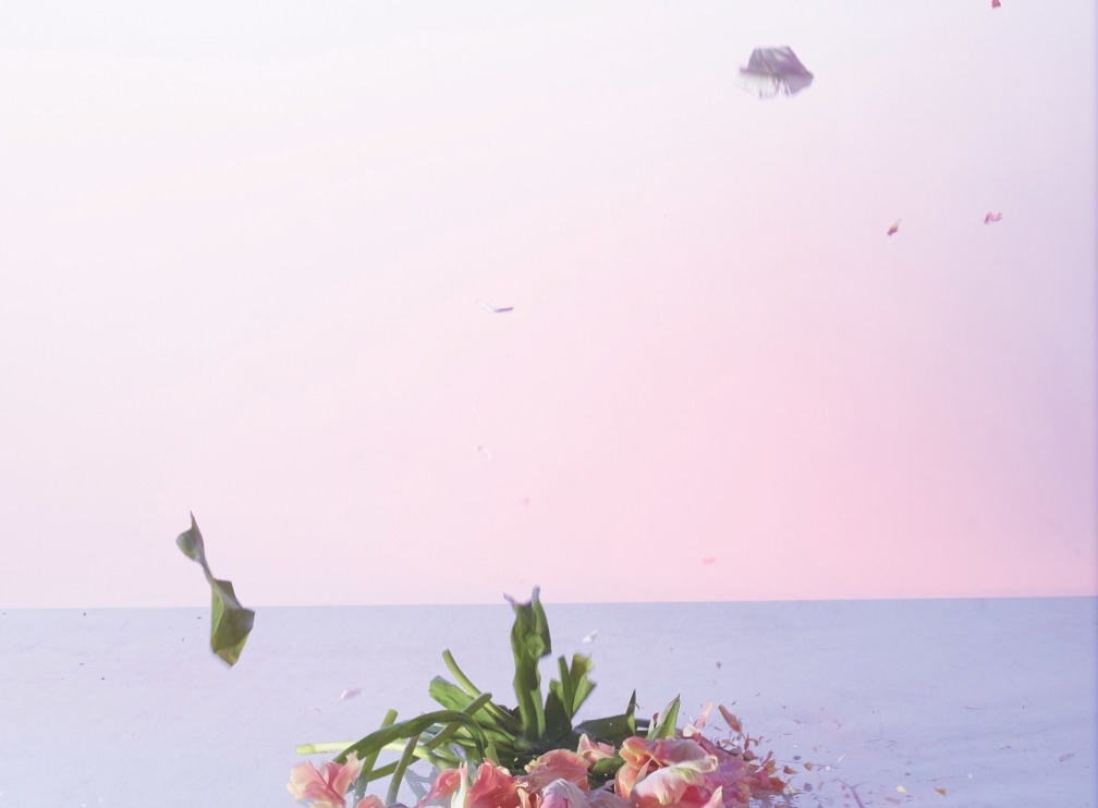 You're A 'Servant To Infinite Distraction' at This Exhibition