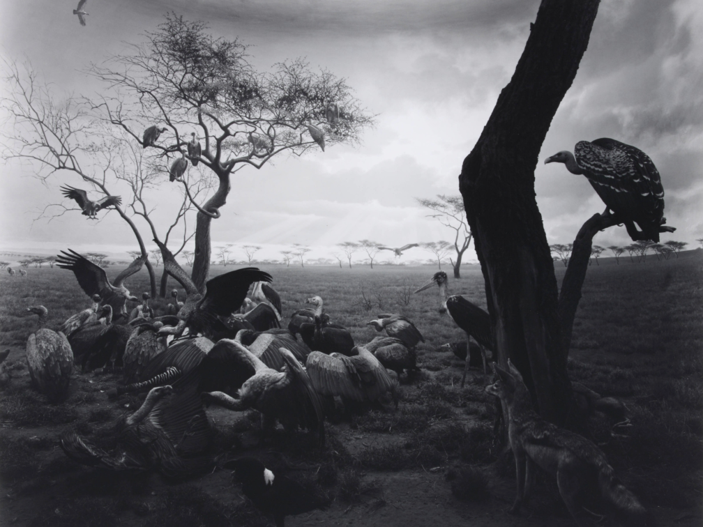 Hiroshi Sugimoto. Photography's New Vision: Experiments in Seeing (group show)