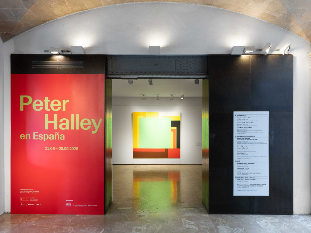 Peter Halley en España