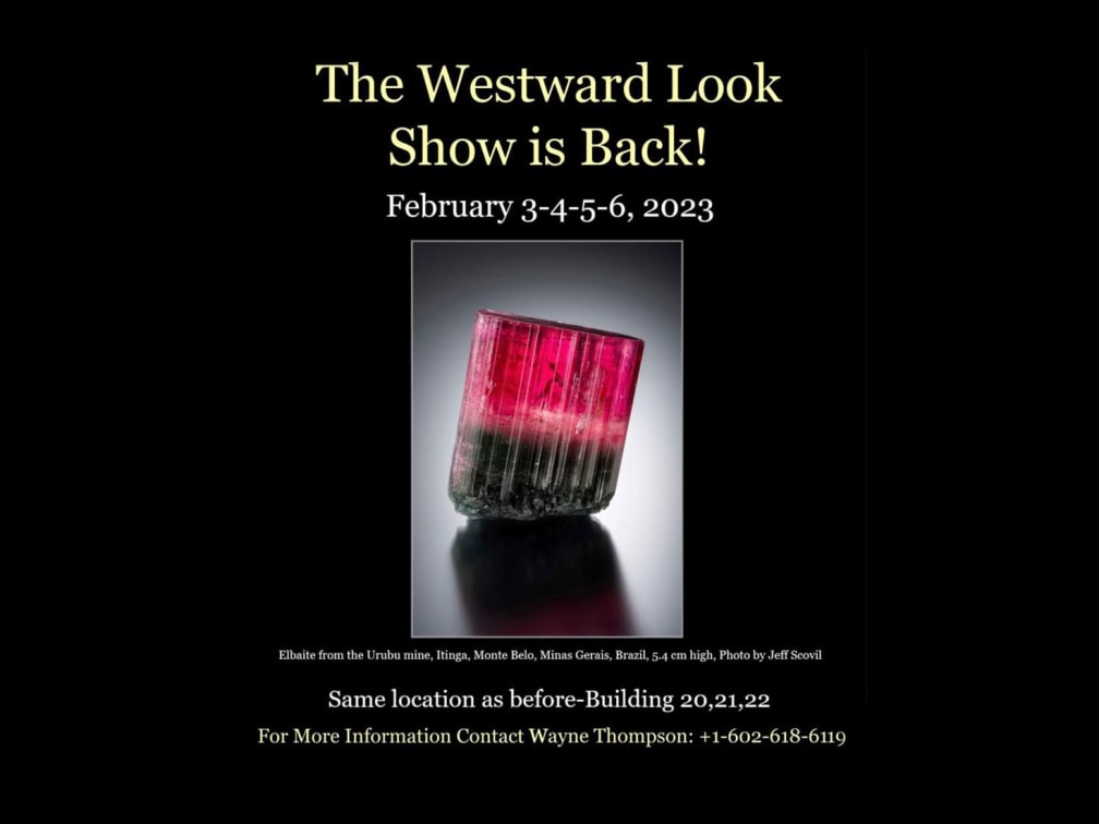 The Westward Look Mineral Show
