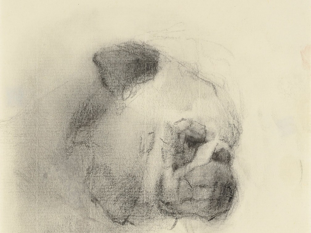 Laura Adler: Studies of Dogs