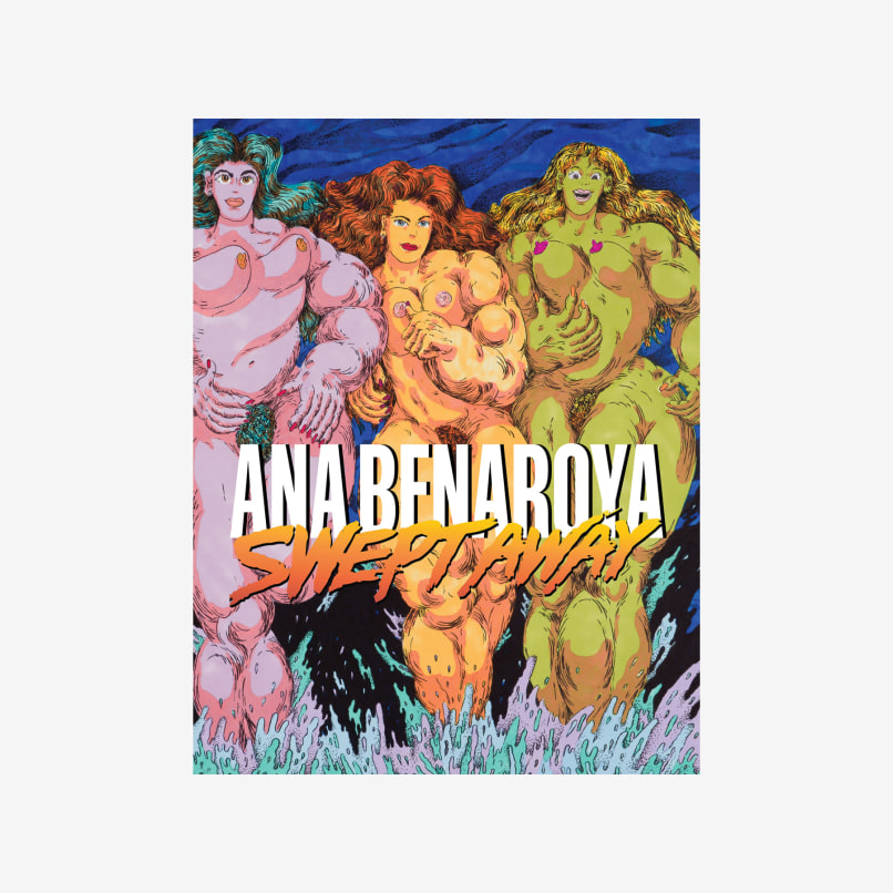 Ana Benaroya: Swept Away