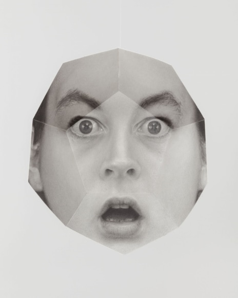 Surprise/Dodecahedron 2013 - 2014