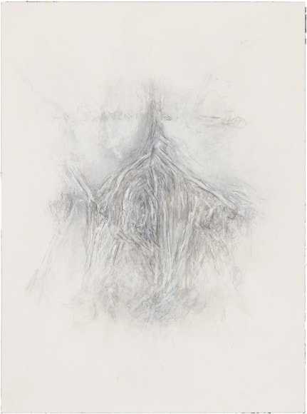 Untitled (August 13, 2001), 2001