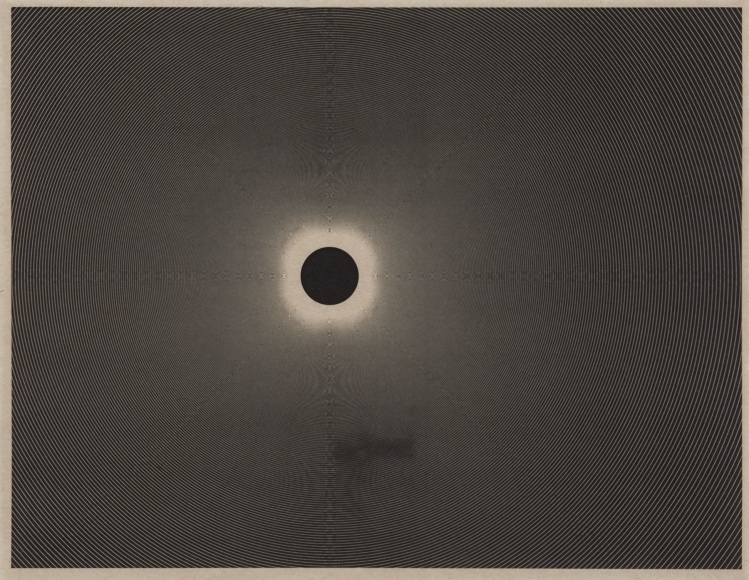 Marsha Cottrell Untitled (3:30:10pm)