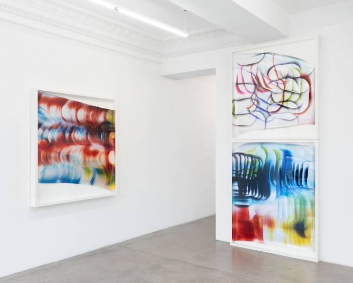 Gallery installation view, Mariah Robertson