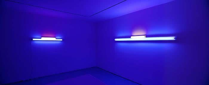 Unlikely Friends: James Brooks & Dan Flavin