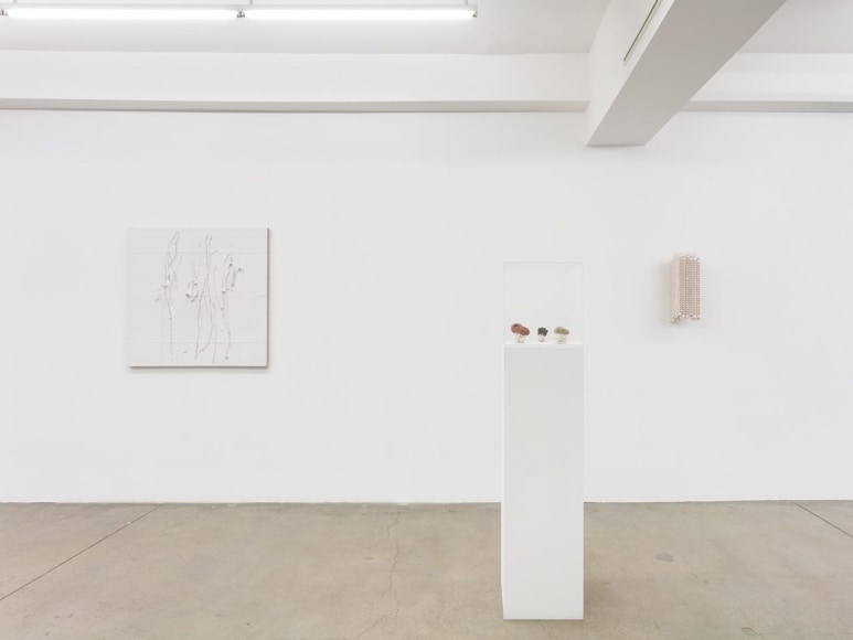 Gallery installation view