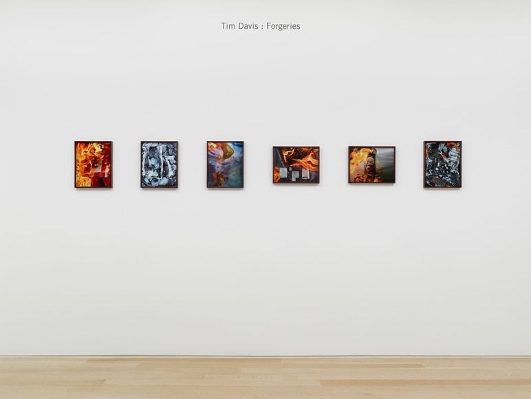 Tim Davis |  Forgeries