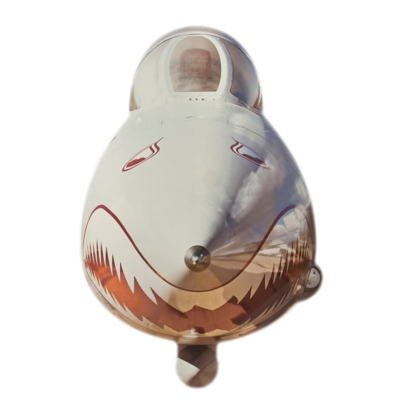 Manolo Chr&eacute;tien | Galerie LeRoyer