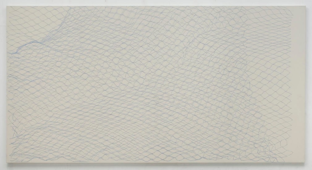 HELENE APPEL  Fishing Net, 2009