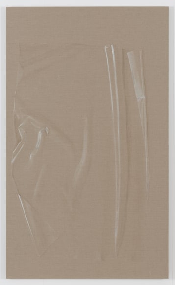 HELENE APPEL  Plastic Sheet (1), 2013