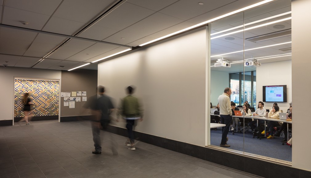 SPENCER FINCH The Garden in The Brain 