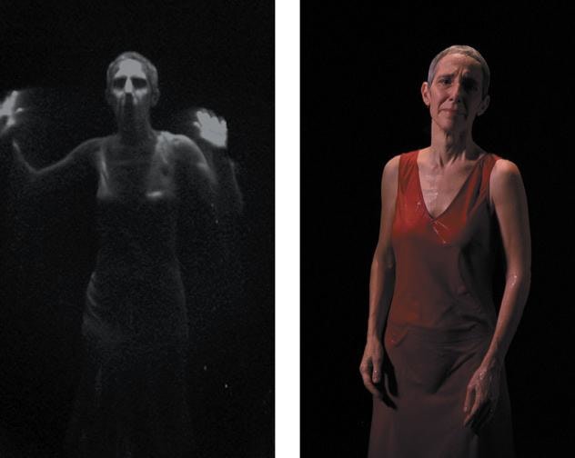, BILL VIOLA