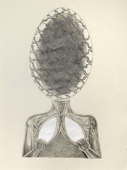 TRENTON DOYLE HANCOCK