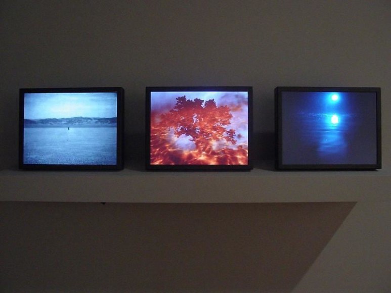 BILL VIOLA 比尔&bull; 维奥拉