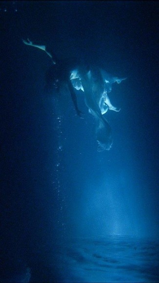 , BILL VIOLA