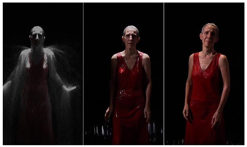 Bill Viola 比尔&bull; 维奥拉