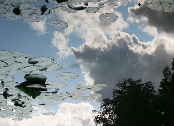 SPENCER FINCH 斯宾塞&bull;芬奇