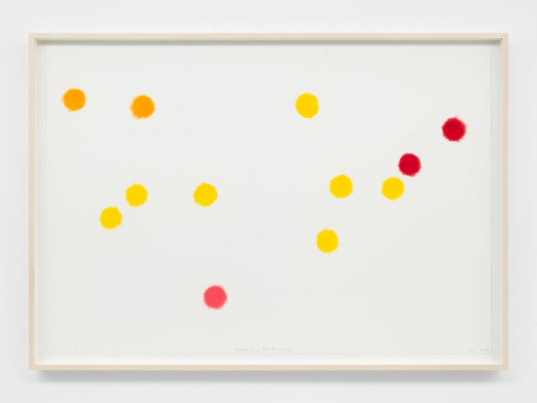 SPENCER FINCH Following a Bee (Zinnias)